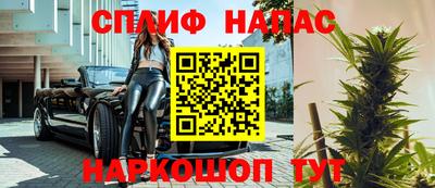 сатива Можга