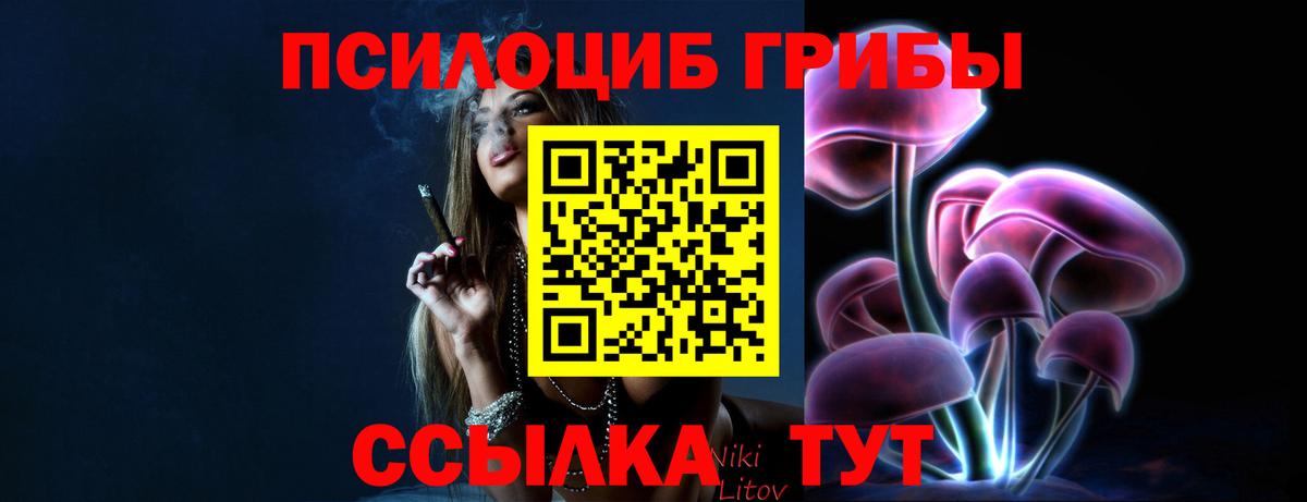Галлюциногенные грибы Psilocybine cubensis  Вход с VPN  Псилоцибиновые грибы Cubensis  Псков 