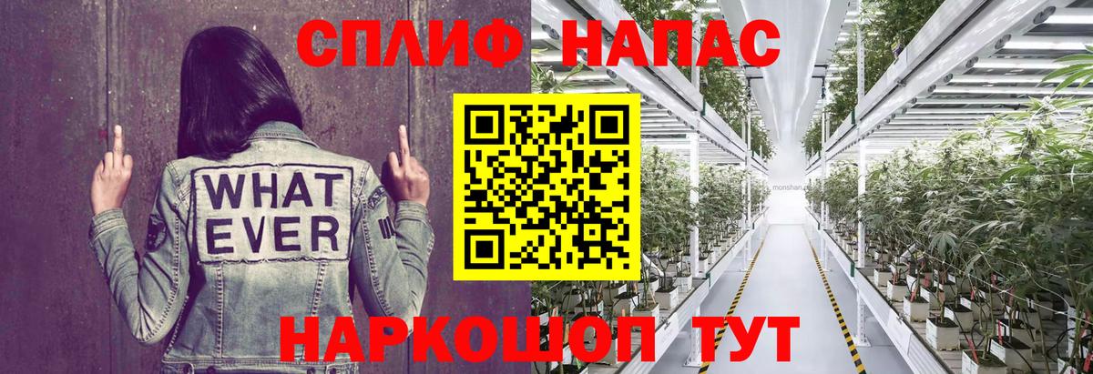 Псков  Канабис индика  Вход с VPN  Каннабис индика 